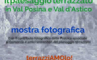 Il paesaggio terrazzato in Val Posina e Val d’Astico